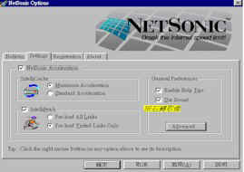 NetSonicpic.jpg (15453 bytes)