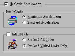 NetSonicpic~2.jpg (14857 bytes)